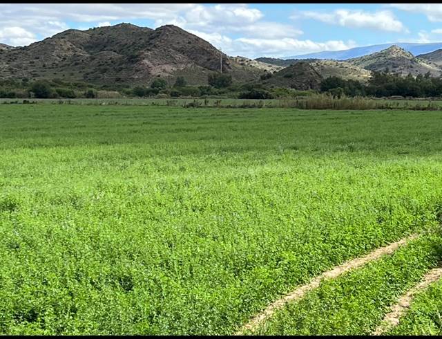 338HA FARM FOR SALE IN LADISMITH RURAL